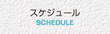スケジュール